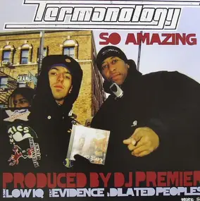 Termanology - So Amazing / Low IQ