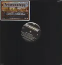 12inch Vinyl Single - Termanology - This Is Hip Hop