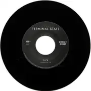 7inch Vinyl Single - Terminal State - Sick