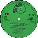 12inch Vinyl Single - Terminator X - Wanna Be Dancin' / Buck-Whylin'