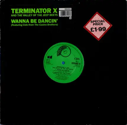 Terminator X - Wanna Be Dancin' / Buck-Whylin'