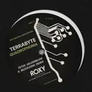 12inch Vinyl Single - Terrabyte - Quadrophonia
