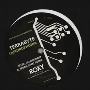 12inch Vinyl Single - Terrabyte - Quadrophonia