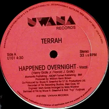 Terrah - Happened Overnight