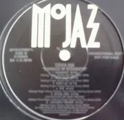 12'' - Terra Sul - Kindness Of Strangers