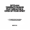 12'' - Terrence Parker Feat. Merachka - Open Up Your Spirit
