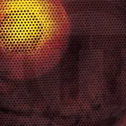 Terri Tarantula - Terri Tarantula