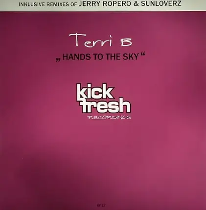 Terri B - Hands To The Sky