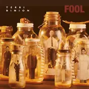 Terri Binion - Fool