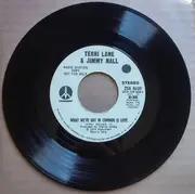 7inch Vinyl Single - Terri Lane & Jimmy Nall - The Way You Do The Things You Do / What We've Got In Common Is Love
