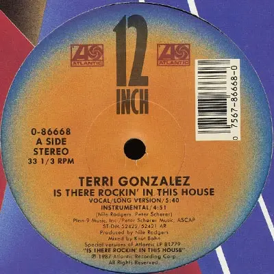 Terri Gonzalez - Is There Rockin' in This House