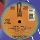 12'' - Terri Gonzalez - Is There Rockin' In This House