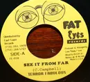 7inch Vinyl Single - Terror Fabulous - See It From Far