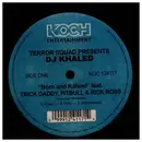 12inch Vinyl Single - Terror Squad Presents DJ Khaled - Born And Raised / Grammy Family