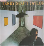 Terry Taylor - A Briefing For The Ascent