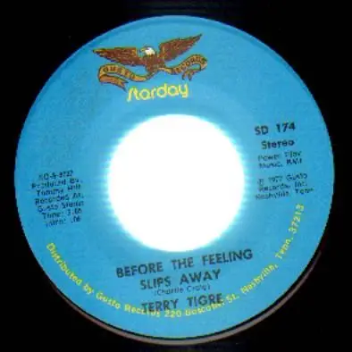 Terry Tigre - Before The Feeling Slips Away / Love Is A Poor Man's Luxury
