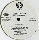 12inch Vinyl Single - Terry Dexter - Better Than Me