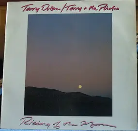 Terry Dolan - Rising Of The Moon