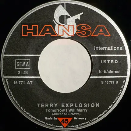 Terry Explosion - Disco-Polka (The Original English Version)