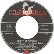 7inch Vinyl Single - Terry Explosion - We're All Sitting In The Same Boat