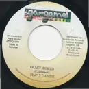 7inch Vinyl Single - Terry Ganzie - Crazy World