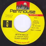 terry ganzie - Hey Hi Hello