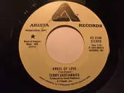 Terry Garthwaite - Angel Of Love