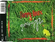 CD Single - Terry Hoax - Grasshopper