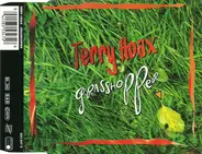 Terry Hoax - Grasshopper