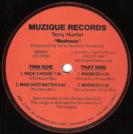 Terry Hunter - Madness