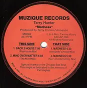 Terry Hunter - Madness
