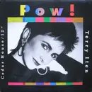12'' - Terry Iten - Pow!