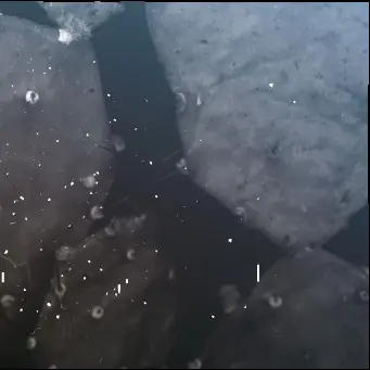 Terry Jennings / John Cage - John Tilbury / Sebastian Lexer - Lost Daylight