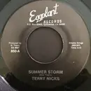 7inch Vinyl Single - Terry Nicks - Summer Storm / It'll Be Cold This Winter