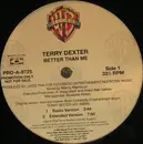 12'' - Terry Dexter - Better Than Me - Promo