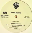 12'' - Terry Dexter - Better Than Me - Promo