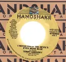 7'' - Terry Gregory - I Never Knew The Devil's Eyes Were Blue / I Need Another Lover