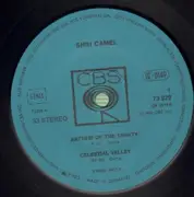 LP - Terry Riley - Shri Camel