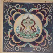 LP - Terry Riley - Shri Camel