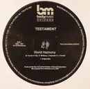 12inch Vinyl Single - Testament - World Harmony