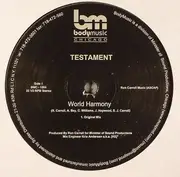 12inch Vinyl Single - Testament - World Harmony
