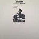 12inch Vinyl Single - Testament - We Need Love