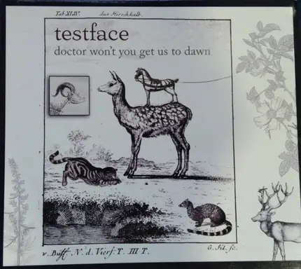 Testface - Doctor Won't You Get Us To Dawn