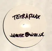 Tetraflux - Forever / From The Past Into The Present