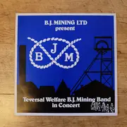 LP - Teversal Welfare B.J. Mining Band - In Concert