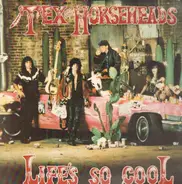 Tex & The Horseheads - Life's So Cool