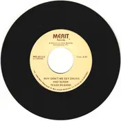 Texas BS Band - Why Don't We Get Drunk And Screw