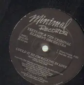 Criminal Element Orchestra - Could It Be I'm Falling In Love