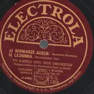 Th. Iliescu uns sein Orchester - Schwarze Augen / Lezginka / Troika / Bublitshki