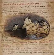 LP & MP3 - Thom Kunz - Paper Brain